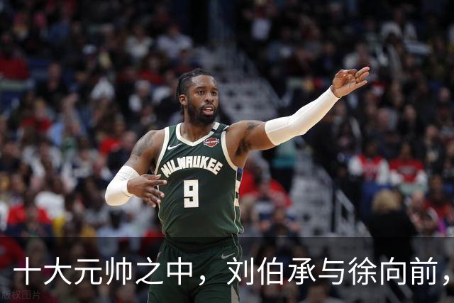 十大元帅之中，刘伯承与徐向前，读懂这份沉默的信任