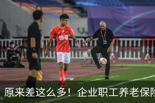 原来差这么多！企业职工养老保险八成靠保险费，机关事业单位四成靠财政