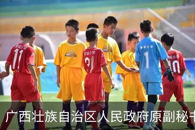 广西壮族自治区人民政府原副秘书长，办公厅原党组成员、副主任唐宁被开除党籍