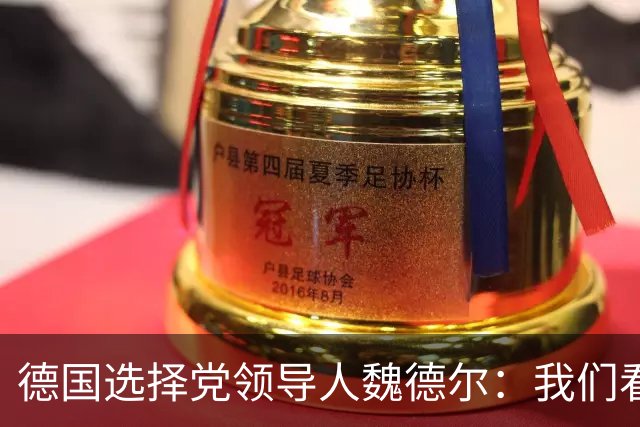 德国选择党领导人魏德尔：我们看到法国和德国的骚乱，应驱逐移民