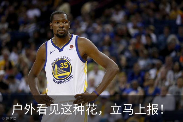 户外看见这种花，立马上报！