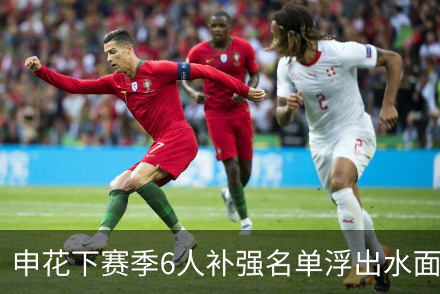 申花下赛季6人补强名单浮出水面，未来他们将挑大梁，值得期待