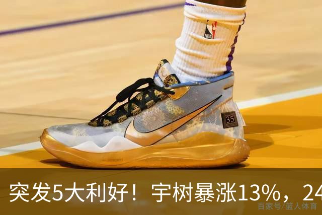 突发5大利好！宇树暴涨13%，24个机器人龙头涨停，主力流入8股