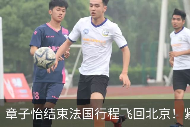 章子怡结束法国行程飞回北京！紧身上衣配阔腿裤纤细腰线十分吸睛