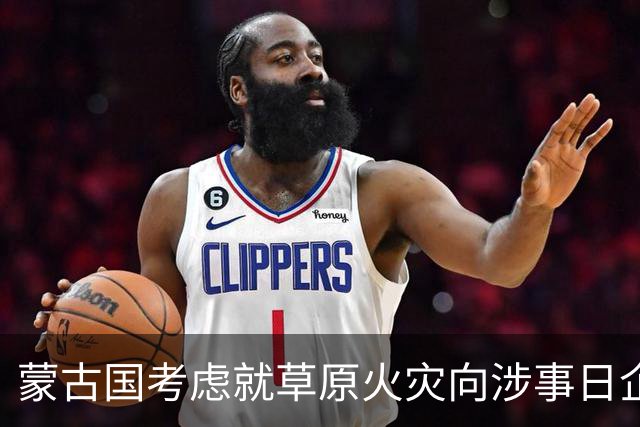 蒙古国考虑就草原火灾向涉事日企索赔