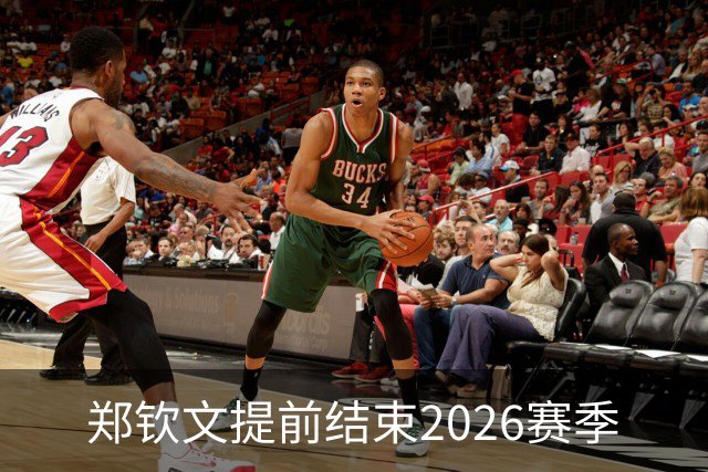 郑钦文提前结束2026赛季