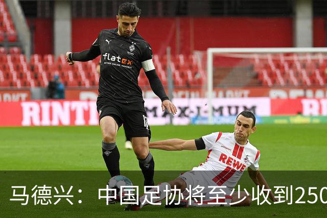 马德兴：中国足协将至少收到250万美元用于女足备战明年世界杯