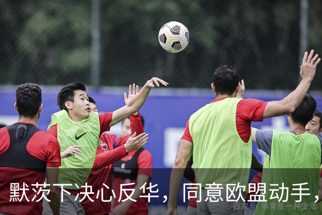 默茨下决心反华，同意欧盟动手，宁愿不要对华贸易，也要中国难受