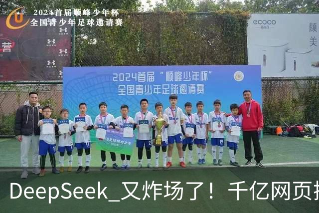 DeepSeek 又炸场了！千亿网页搜索 API 开放